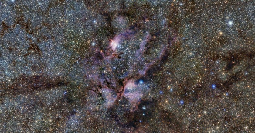 Why this is a golden age for life to thrive across the universe