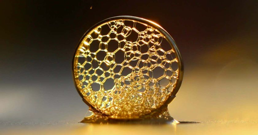 Photography contest spotlights the beauty of science in vivid detail