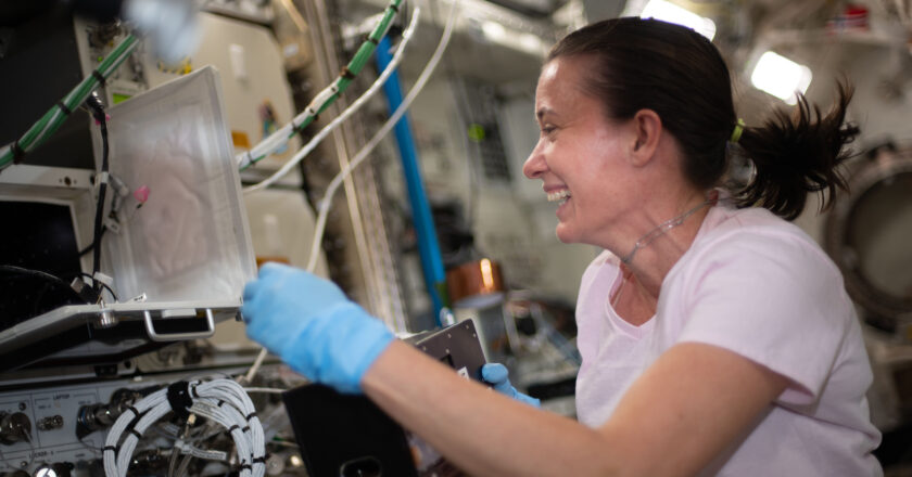 NASA Astronaut Megan McArthur Retires