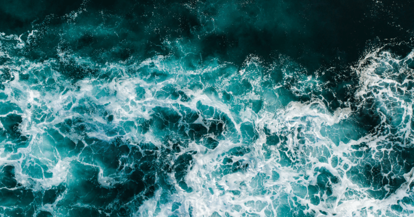 The Ocean Carbon Sink Is Ailing – State of the Planet