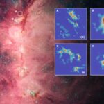 Gravity reshapes magnetic fields in star clusters