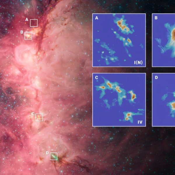 Gravity reshapes magnetic fields in star clusters