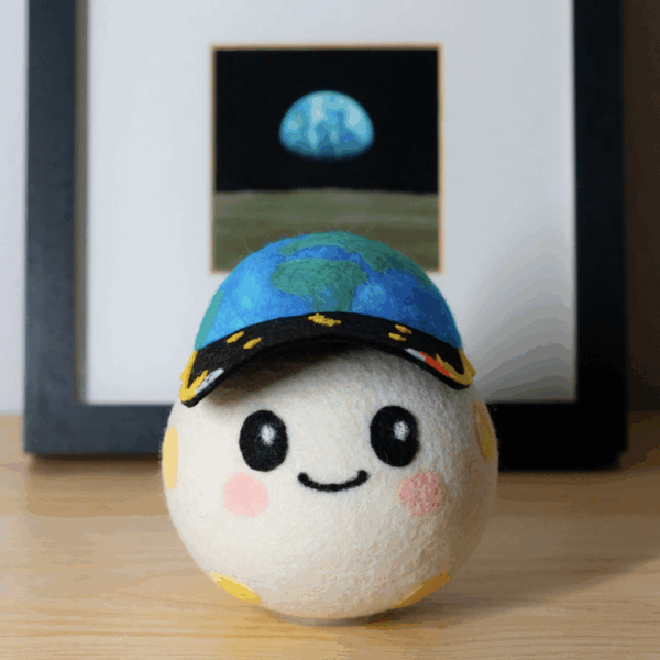 NASA — The Mascots in the Running to Fly around the Moon!