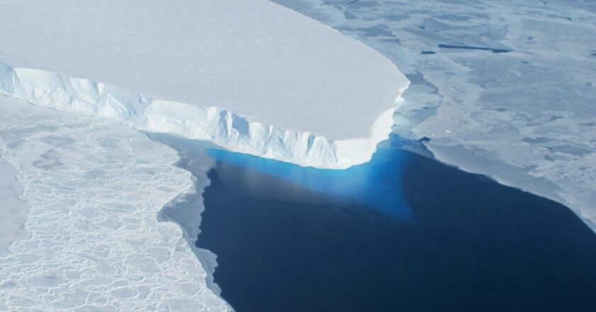 Columbia Will Co-Lead Major Project To Study Global Carbon Cycle – State of the Planet