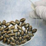 Should we worry AI will create deadly bioweapons? Not yet, but one day